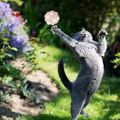 Balle pour Chat - JingleChase™ - Blanc