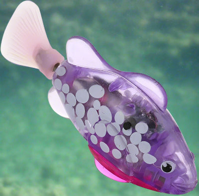 Jouet Interactif Chat - CatchyFish™ - Violet