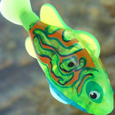 Jouet Interactif Chat - CatchyFish™ - Vert