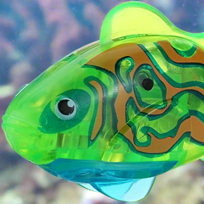 Jouet Interactif Chat - CatchyFish™ - Vert