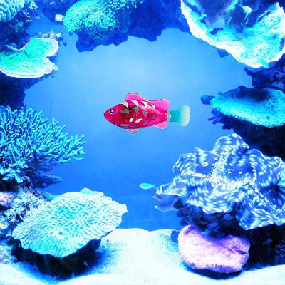 Jouet Interactif Chat - CatchyFish™ - Fushia