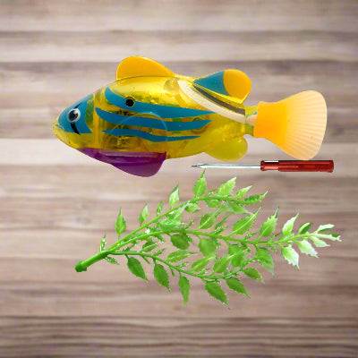 Jouet Interactif Chat - CatchyFish™ - Jaune Poussin